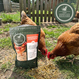 Two chickens interacting with a bag of 'The Good Life Backyard' chicken feed in an outdoor setting.