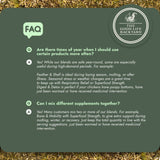 Respiratory Relief – Spice Blend