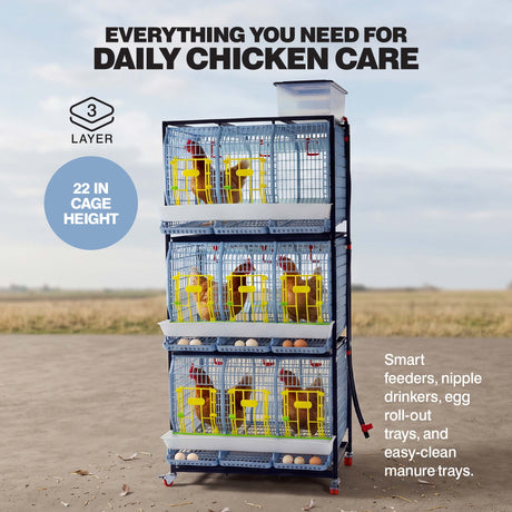 Chicken Cage - 3 Layer H: 22"