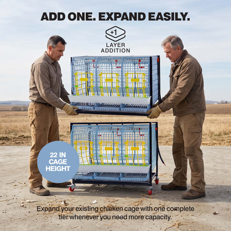Chicken Cage - H: 22" Layer Addition