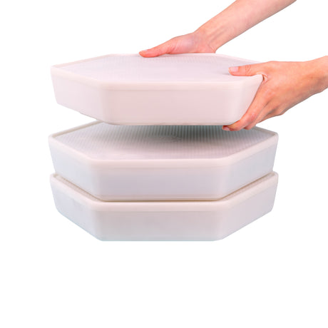 Hatching Time. Mealworm growing pods can be seen stacked in image.