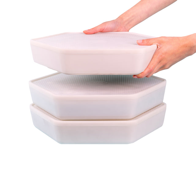 Hatching Time. Mealworm growing pods can be seen stacked in image.