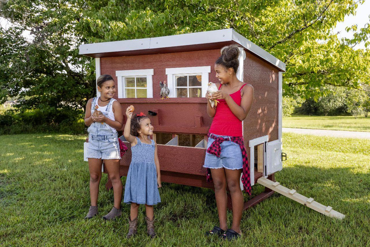 Chicken Coop - Large (Up to 15 Chickens)