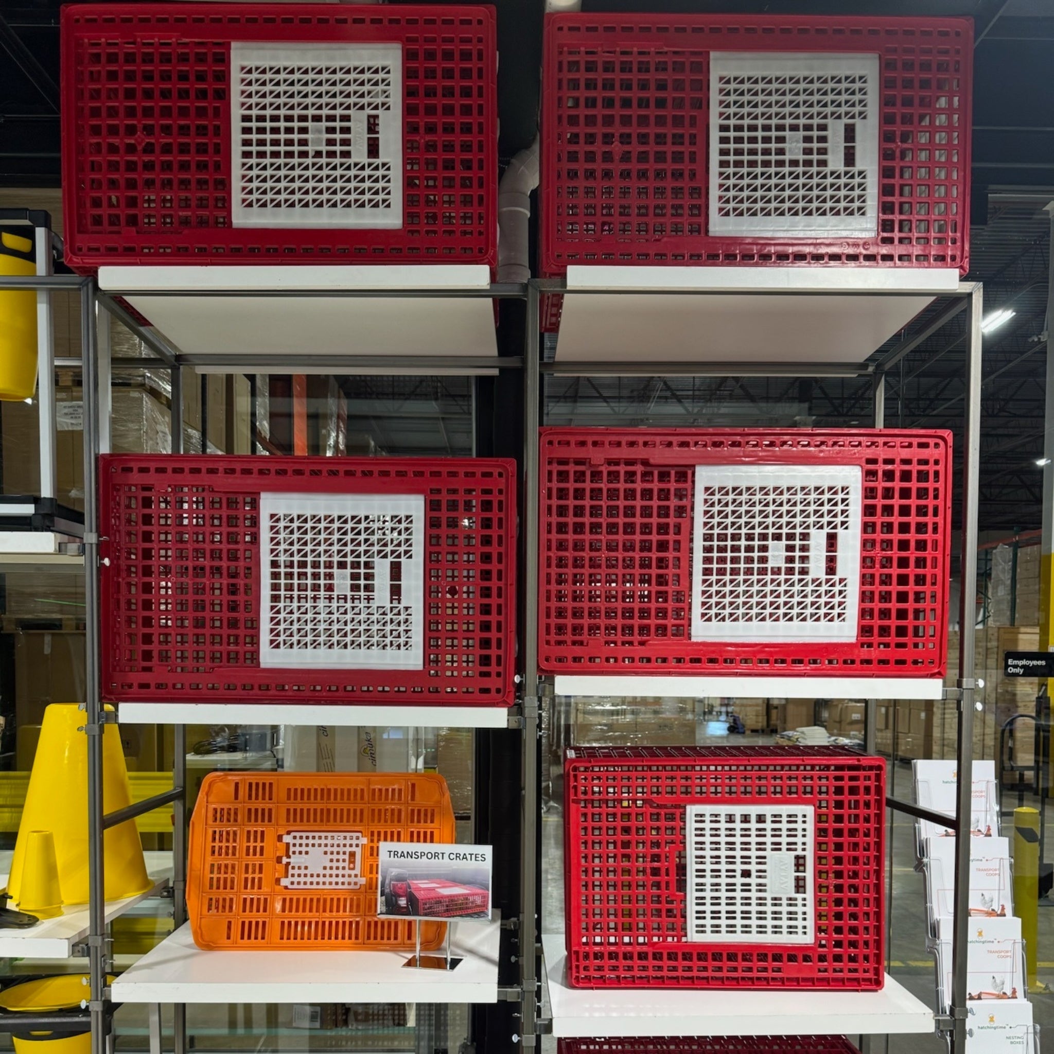 Large Chicken Transport Coop with Two Doors by Hatching Time