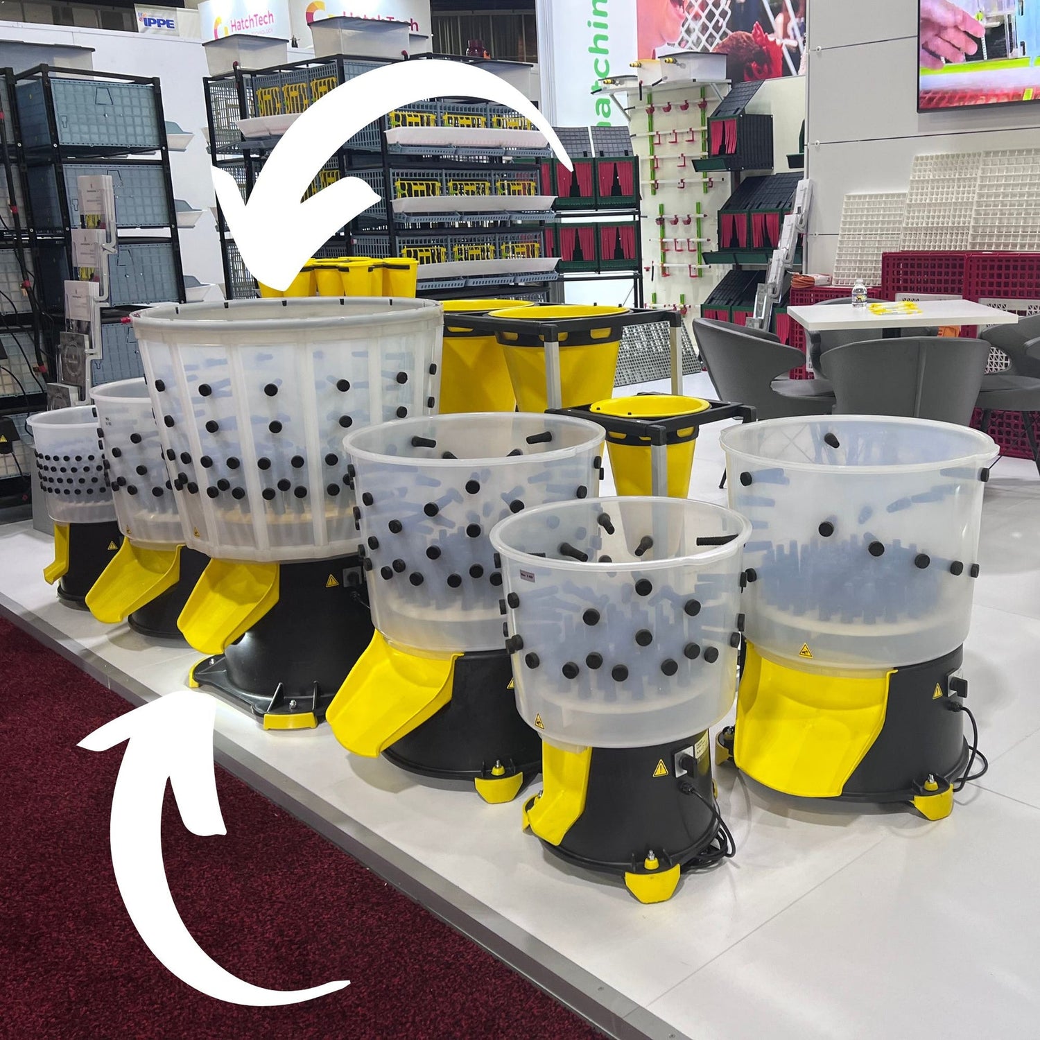 Hatching Time Cimuka. convention floor. Table shows feather pluckers in front of processing cones. Arrows show XL Turkey feather plucker.