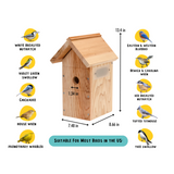 Hatching Time Nestera. Infographic shows Nestera bird house and types of birds that can be seen in box when they build a nest.