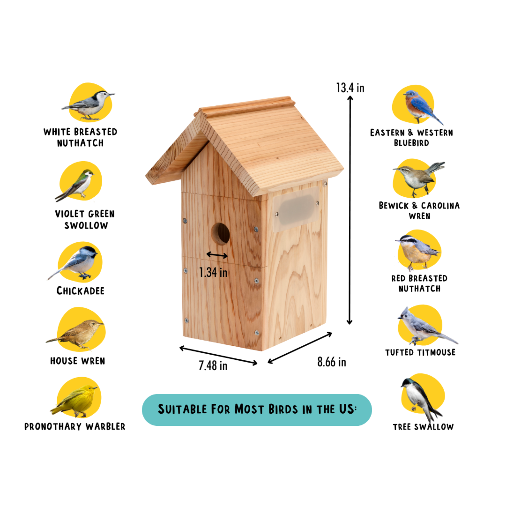Hatching Time Nestera. Infographic showing various types of birds that can be viewed within included birdhouse.