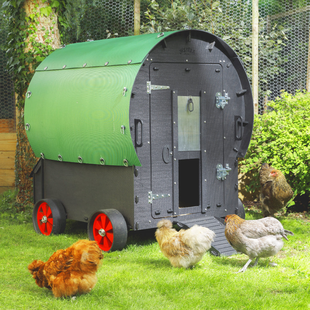 Hatching Time Nestera. The Wagon can be seen outside on grass surrounded by 4 chickens. The Wagon chicken coop is on wheels for mobility, with a rounded roof to prevent roosting. chicken entrance is open, larger door opens for cleaning.