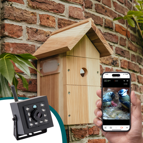 Hatching Time Nestera. Image shows a bird house. Hand holding phone with view of interior of bird house through mounted camera. Camera can be seen on left side of image.