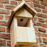 Hatching Time Nestera. Bird box camera system bird house can be seen mounted to brick wall. Camera port is empty to show removed version.