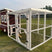 Wooden 8 ft chicken run with white frame and mesh panels attached to a red backyard chicken coop, handcrafted in the USA by Amish-trained artisans.