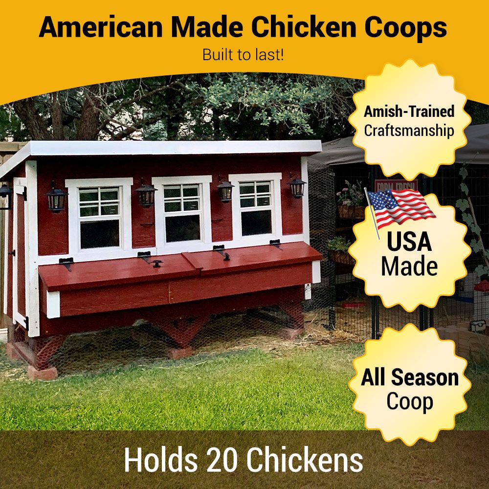 Chicken Coop - X-Large - (Up to 20 Chickens)