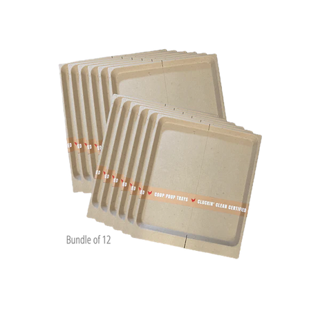 Power + Protect Bundle