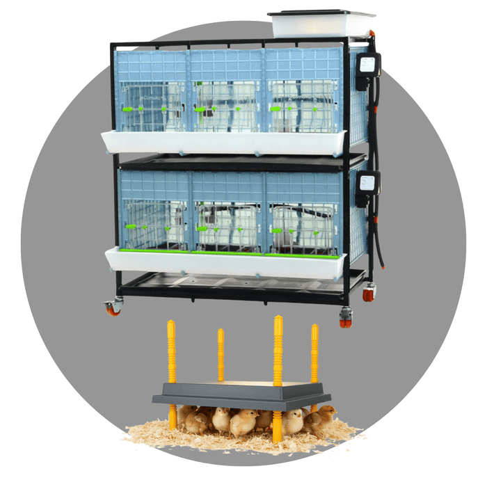 Quail Supplies – Cages, Feeders, Brooders & Incubators | Hatching Time