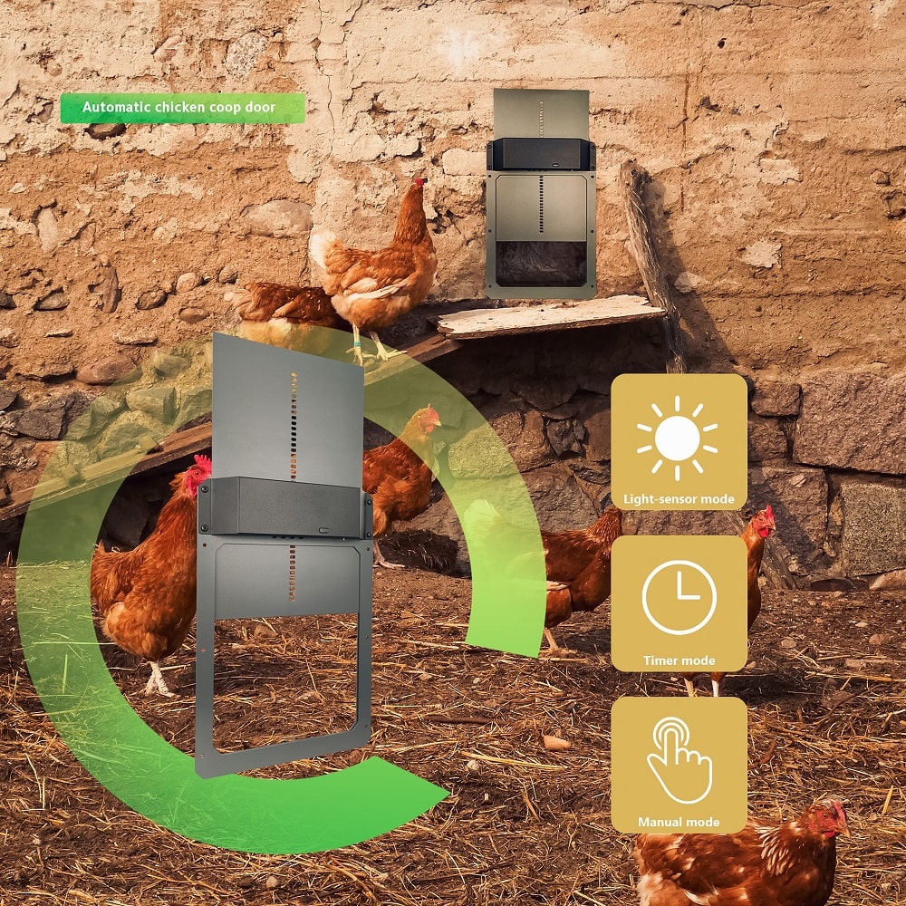 Hatching Time Farmright Automatic coop door can be seen installed on wall in background in front of chickens. Infographic shows features.