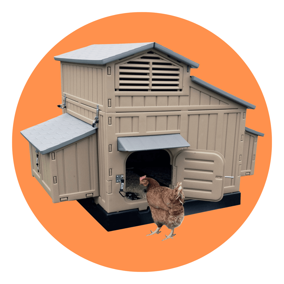 Hating Time Chicken Supplies – Coops, Feeders, Nesting Boxes | Hatching Time