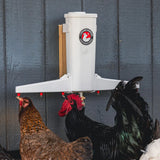 The Chicken Fountain Gen 2 installed in a backyard chicken coop providing automatic fresh water for chickens
