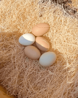 Mile Four Chicken Nesting Pads (Aspen)