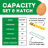 Hatching Time Cimuka CT120 infographic shows the set & hatch capacity of incubator. Incubator can hold up to 312 Quail eggs, 168 Partridge eggs, 144 Pheasant eggs, 120 chicken eggs, 80 turkey or duck eggs or up to 48 Goose/Peacock sized eggs. 2 different racks are shown to be able to increase egg capacity for quail or goose eggs.