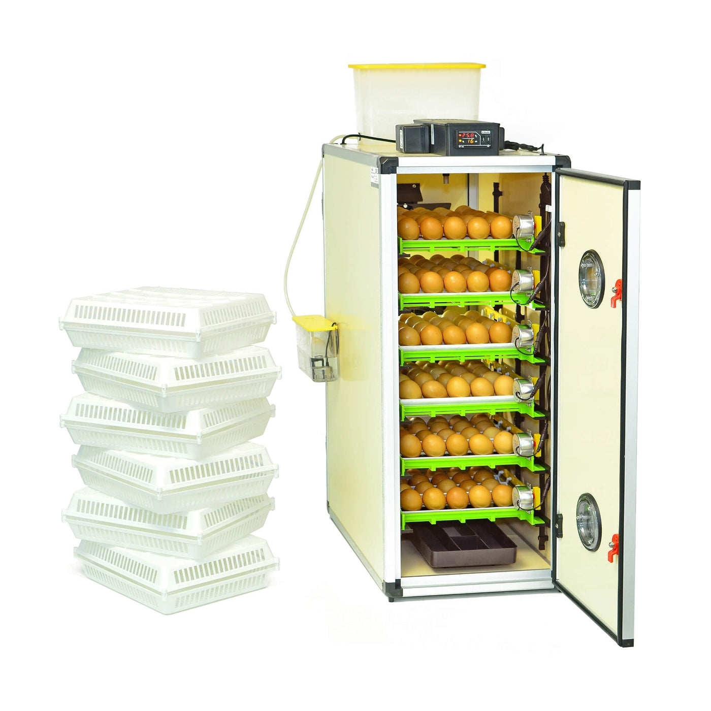 Innard Poultry Machine Innovative Poultry Equipment For Poultry Lovers – Hatching Time