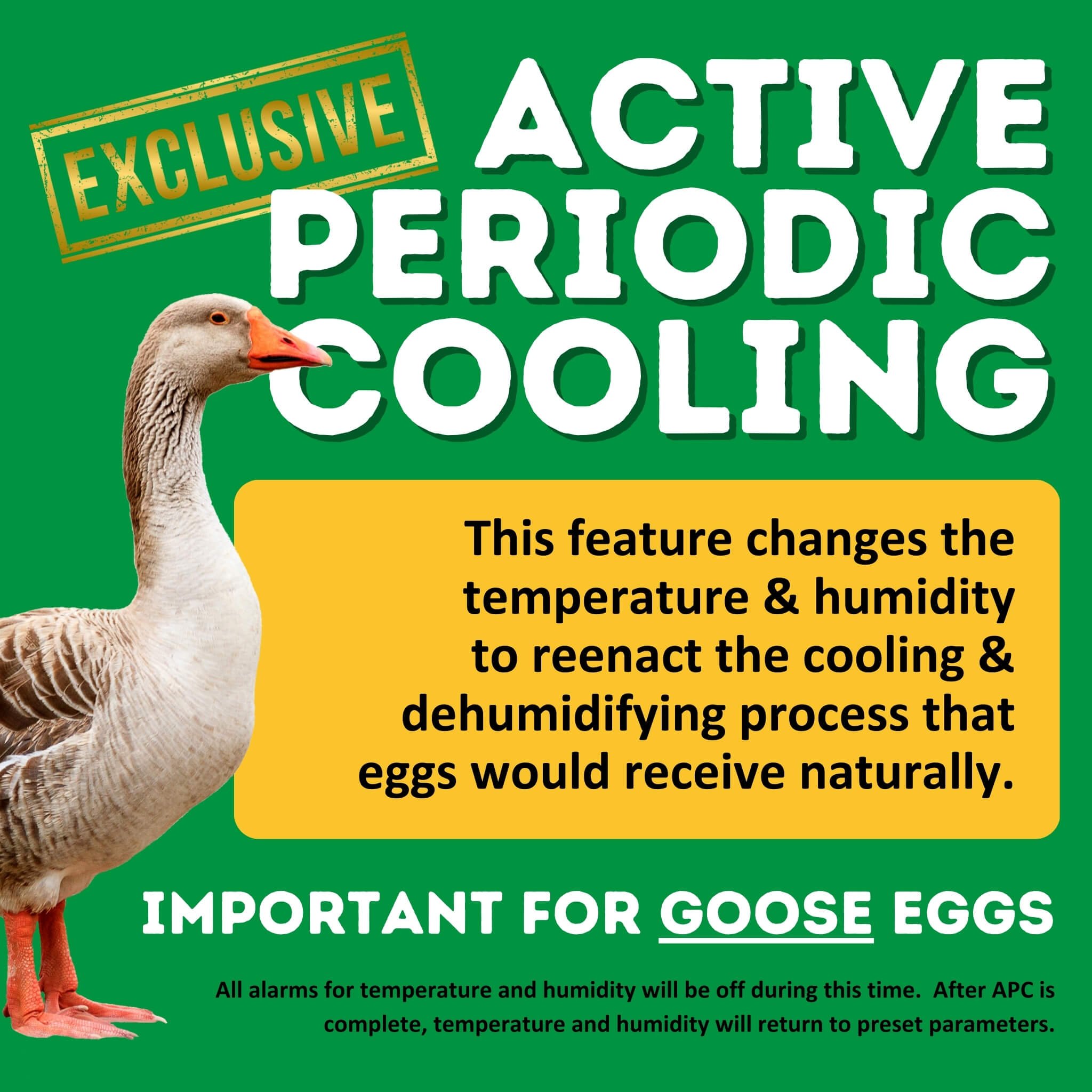 Hatching Time Cimuka. Infographic showcasing active periodic cooling. A goose is shown in the image to show the importance of cooling for goose egg hatching. 