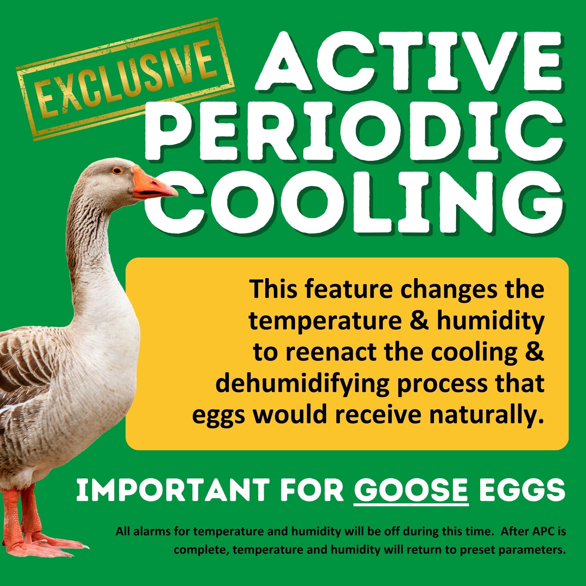 Hatching Time Cimuka. Image shows a goose standing next to the benefits of active periodic cooling which is important for Goose eggs.