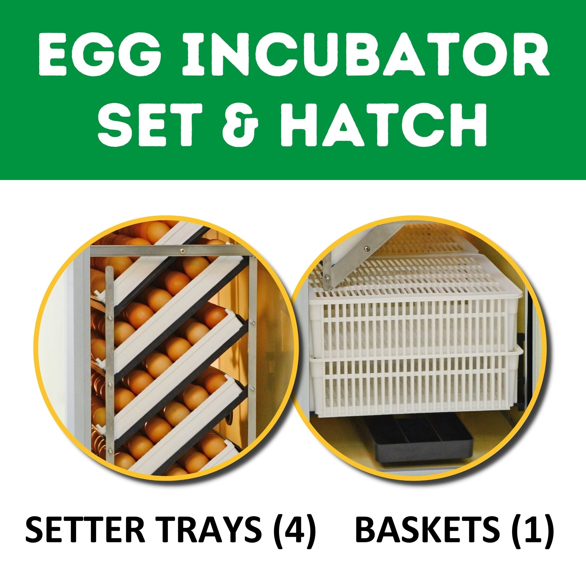 Hatching Time Cimuka. Image shows that incubator is setter and hatcher combo. Includes 4 setter trays and 1 hatching basket, both seen in image.