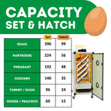 Hatching Time Cimuka. Image shows the amounts of each poultry egg that can fit into incubator with correct tray configuration.