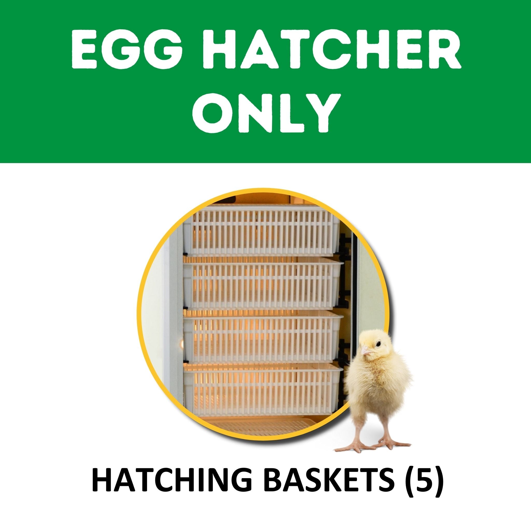 Hatching Time image shows that this unit is an Egg Hatcher Only. Image shows chick on front.