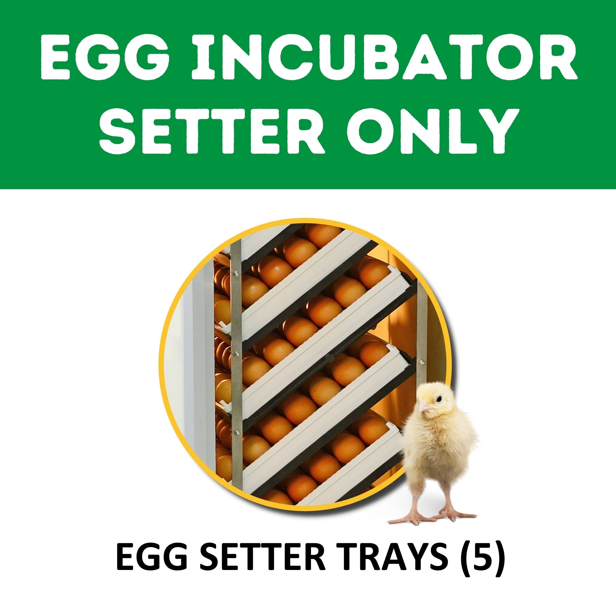 Hatching Time Cimuka. Image shows this incubator is a setter only and includes 5 egg setter trays. There is a chick in the image.