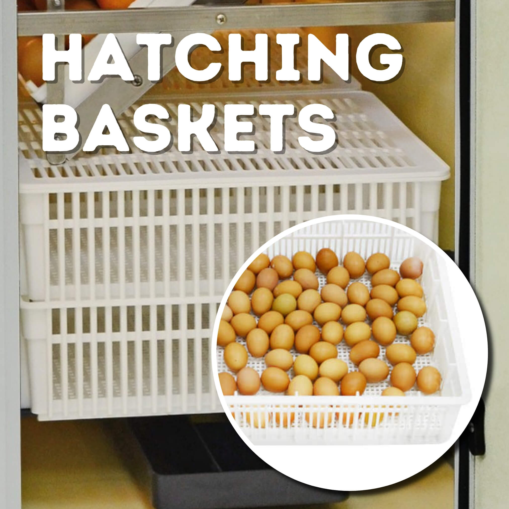 Hatching Time Cimuka. Graphic showing hatching baskets located at bottom of HB500C. Combination setter and hatcher allows for hatching within same incubator. Image shows basket full of brown chicken eggs.