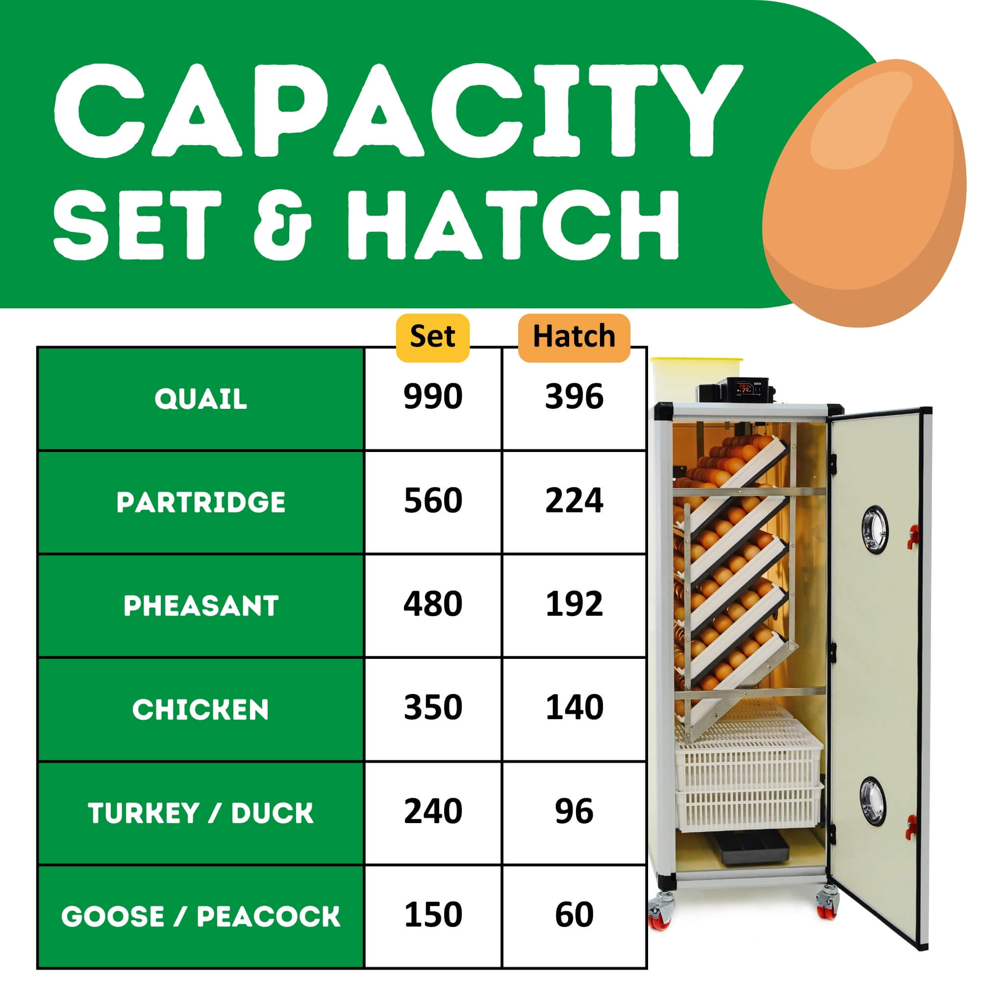 Hatching Time Cimuka. Infographic showing the different types of poultry eggs that can be incubated inside. Quail, partridge, pheasant, chicken, turkey, duck, goose and peacock eggs are listed.