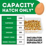 Hatching Time Cimuka. Infographic showing the different types of poultry eggs that can be incubated inside. Quail, partridge, pheasant, chicken, turkey, duck, goose and peacock eggs are listed.