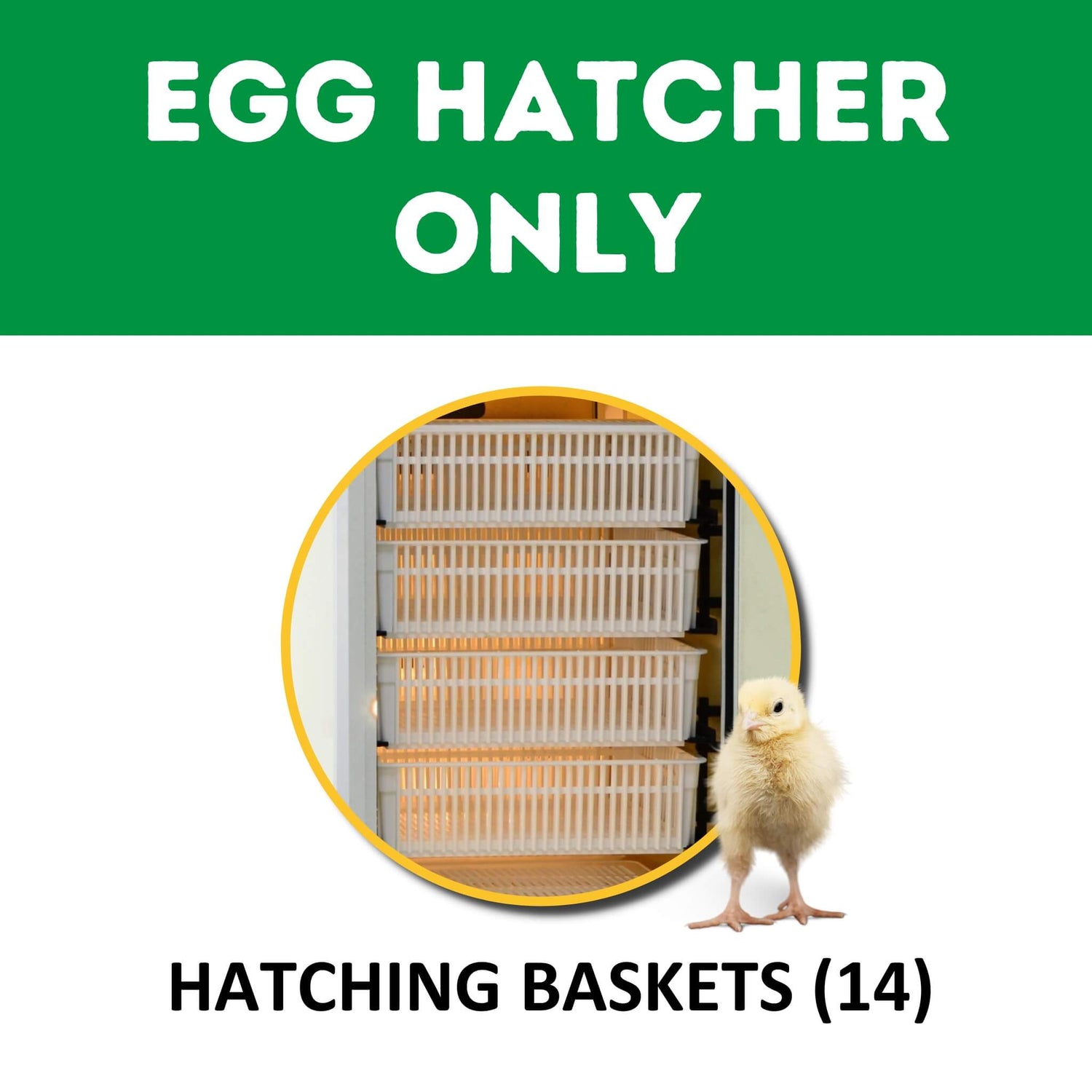 HB500 H - Fully Automatic Egg Hatcher