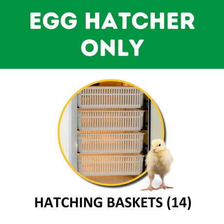 HB500 H - Fully Automatic Egg Hatcher