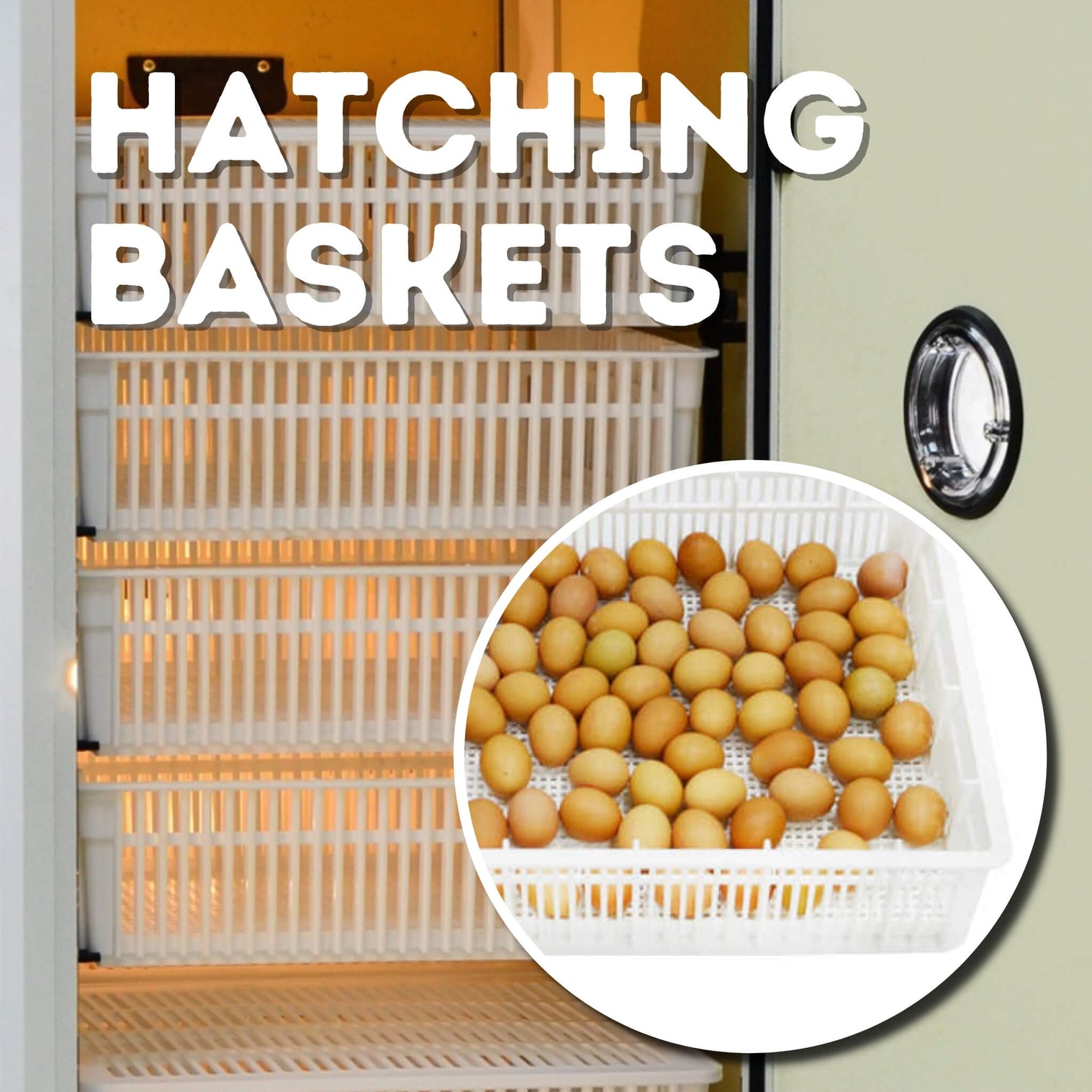 500 Egg Hatcher - Cabinet Style Hatcher by Cimuka | Hatching Time