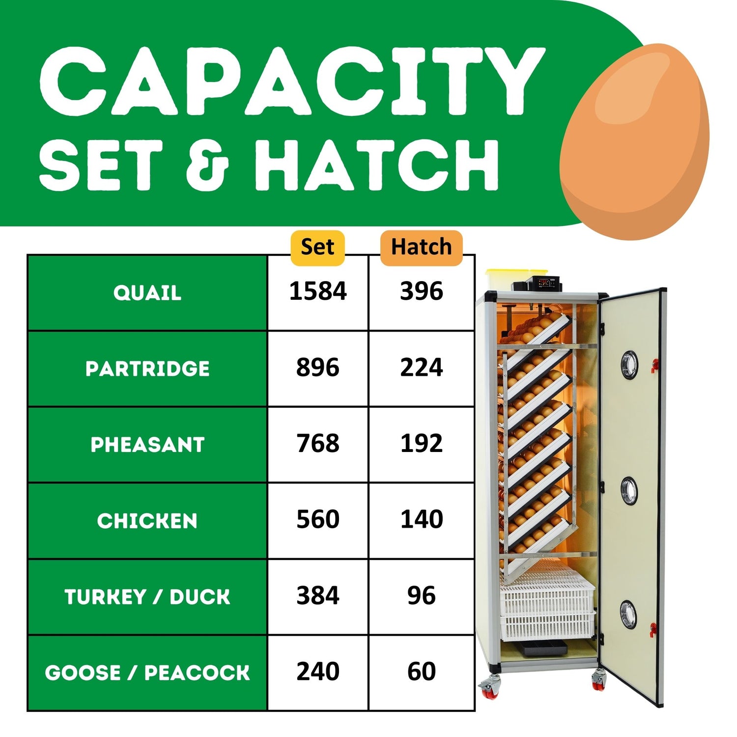 Hatching Time Cimuka. Image shows the amounts of each poultry egg that can fit into incubator with correct tray configuration.