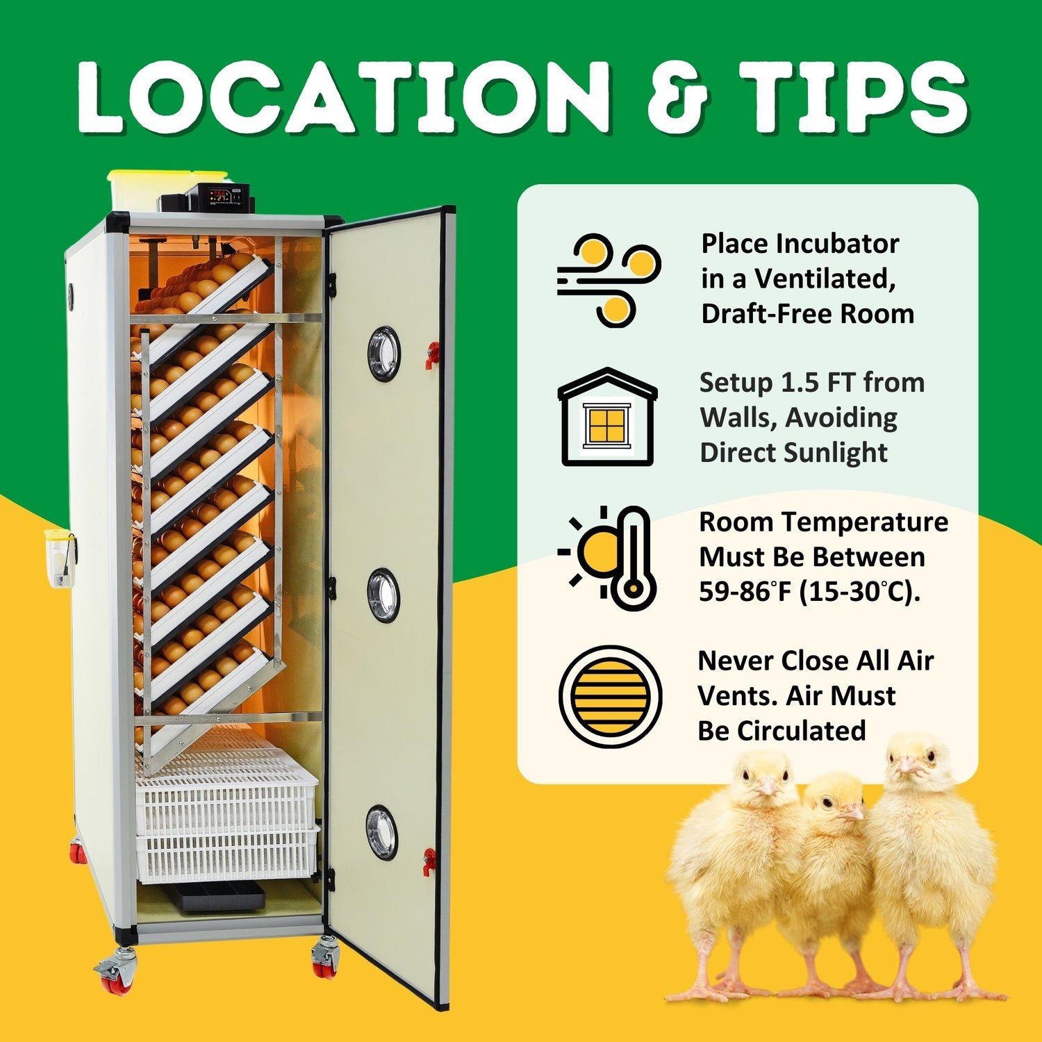 Hatching Time Cimuka. HB700C Setter & Hatcher location and tips infographic is shown. HB700C incubator can be seen in image. 3 chicks are standing side by side.
