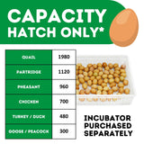 Hatching Time Cimuka. Image shows the amounts of each poultry egg that can fit into incubator with correct tray configuration.