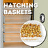 Hatching Time Cimuka. Image focuses on Hatching baskets that hold eggs while they finish hatching to prevent injury to poultry.