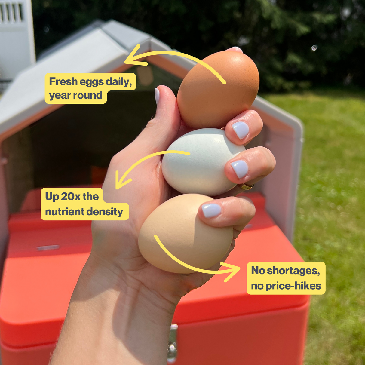 The Smart Coop Unlimited+