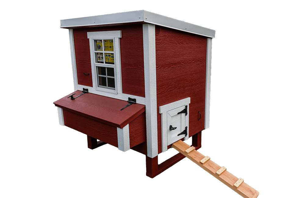 Chicken Coop - Medium (Up to 10 Chickens)