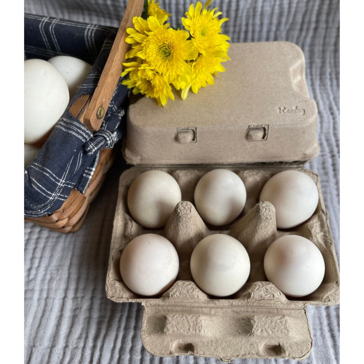 Hatching Time. Henlay jumbo duck egg cartons from natural materials an be seen with 6 duck eggs next to a basket of duck eggs.