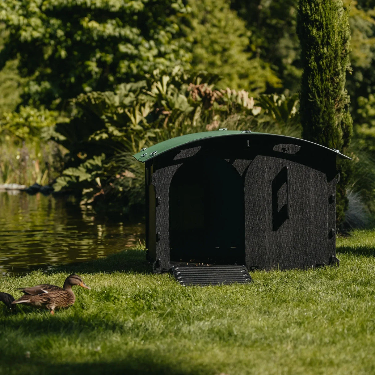 Hatching Time Nestera. Duck house can be seen in image on grass. Duck house has green rounded roof, black walls and floor and walk-up ramp. Door is open.