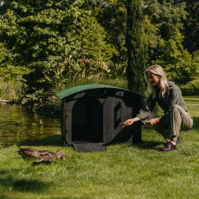 Hatching Time Nestera. Woman can be seen by Nestera Duck House. A duck is in front of house as well. Duck house can be seen next to woman with door open and ramp for ease of access to ducks.