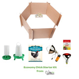 Hatching Time My Pet Chicken Economy starter kit is shown with brooder enclosure, feeder, drinker, handbook, heating lamp, heating bul and Vitamin packet.