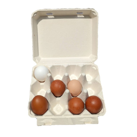 Hatching Time. Henlay Vintage white 12ct chicken egg cartons shown open with 6 eggs inside.