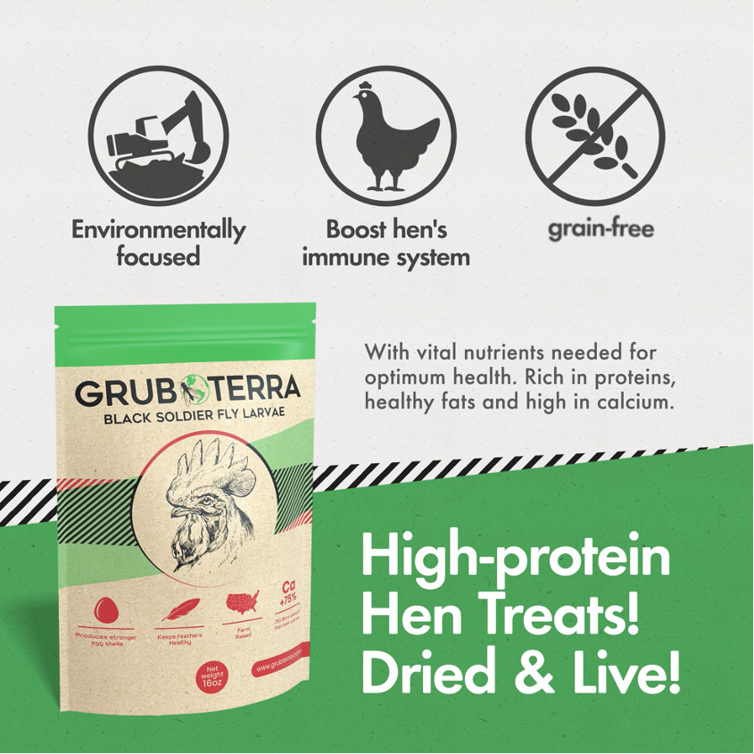 Hatching Time Grub Terra. Black Soldier Fly Larvae.  Bag can be seen in image. Text shows environmentally focused, boost hens immune system and grain free.