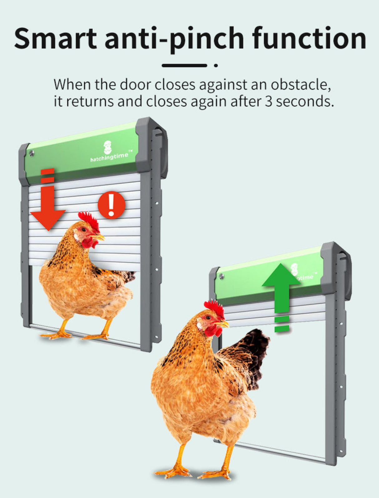 Hatching Time. Automatic Chicken coop door shown with smart Anti-Pinch function to keep chickens safe when entering and exiting the coop.