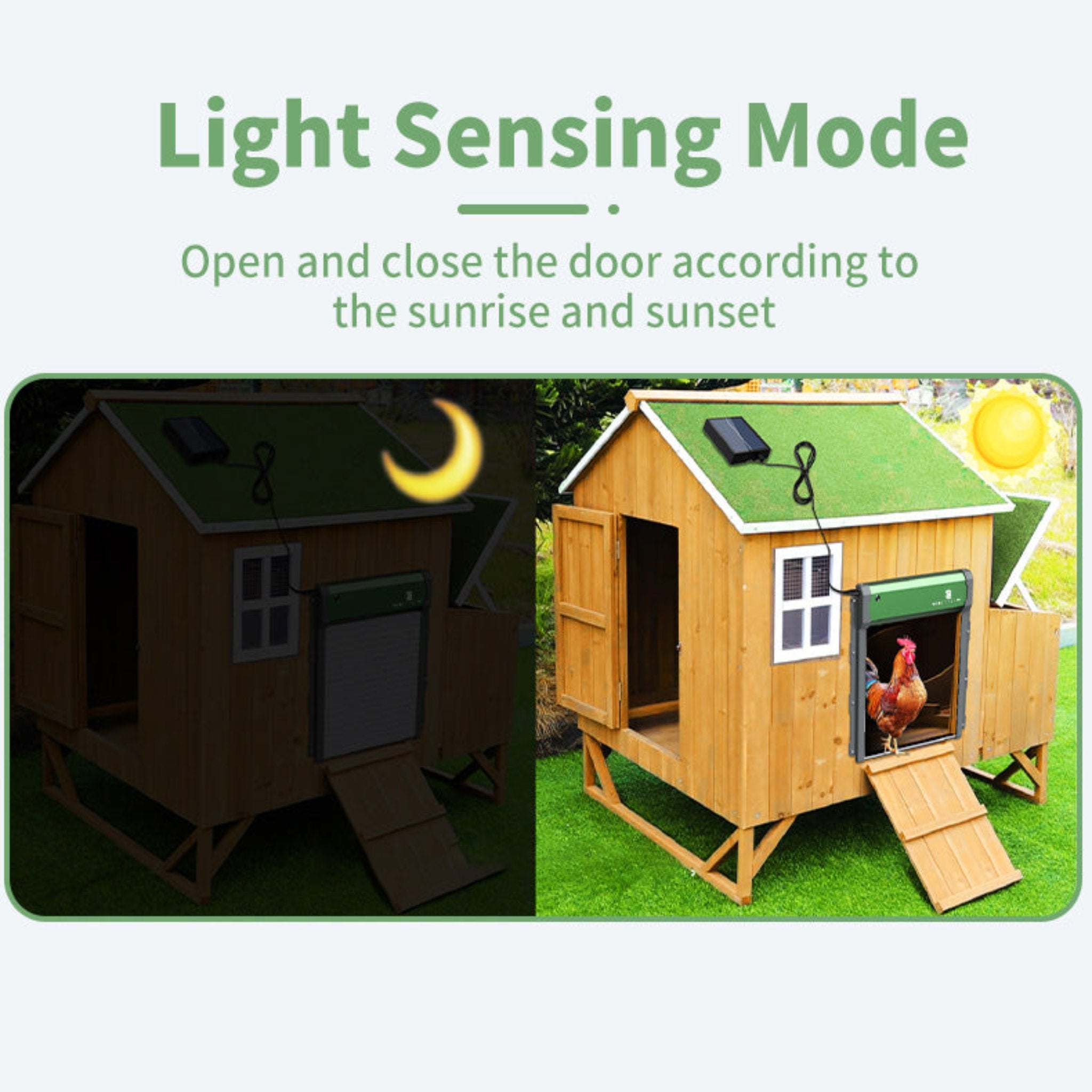 Solar Powered Automatic Chicken Coop Door with Remote